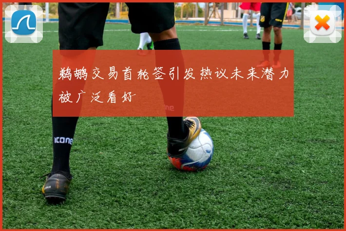 鹈鹕交易首轮签引发热议未来潜力被广泛看好